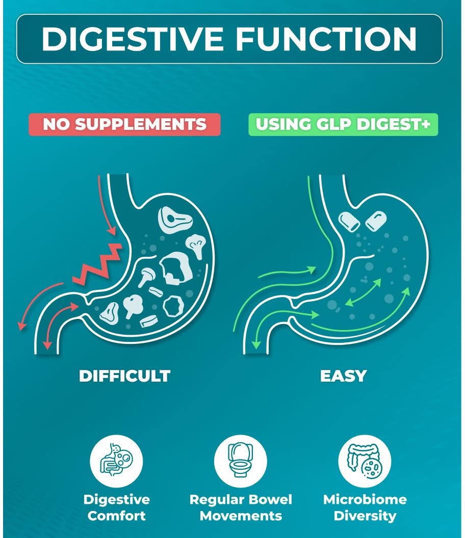 Digestive Function