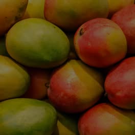 African Mango