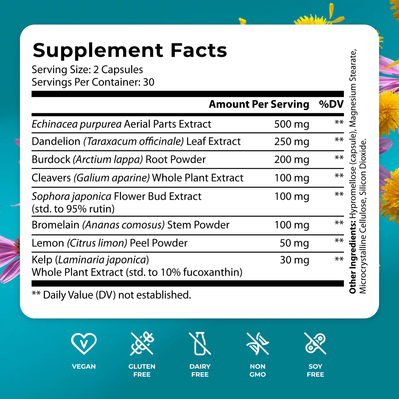 Lymph System Support