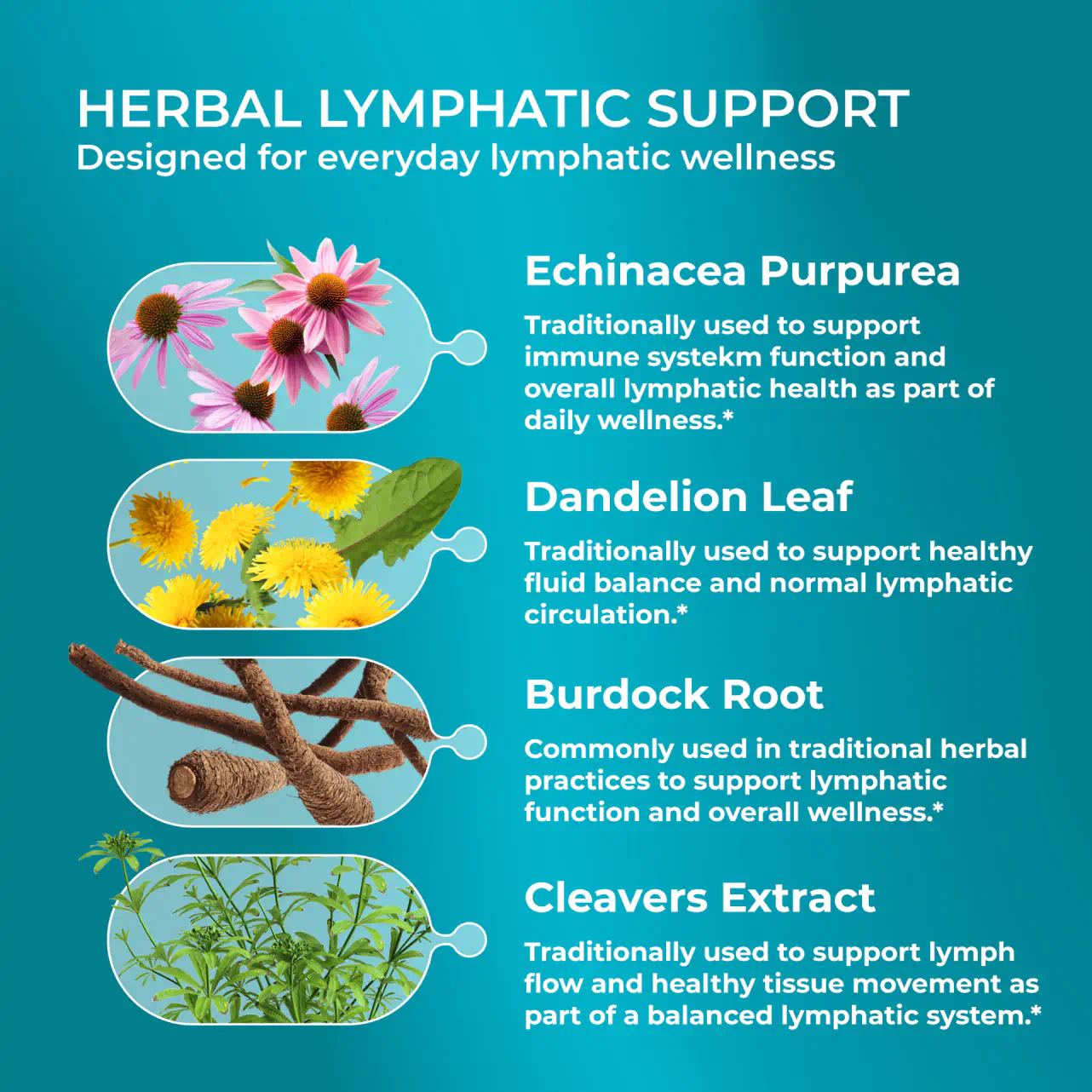 Lymph System Support