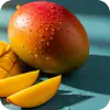 African Mango Seed Extract