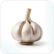 Garlic bulbs