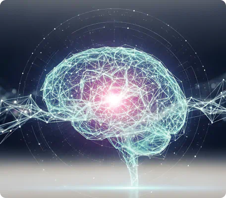 Brain activity